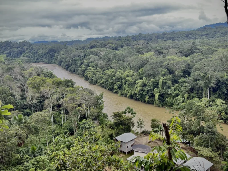 Explore the Amazon: 3 Days on the Arajuno River