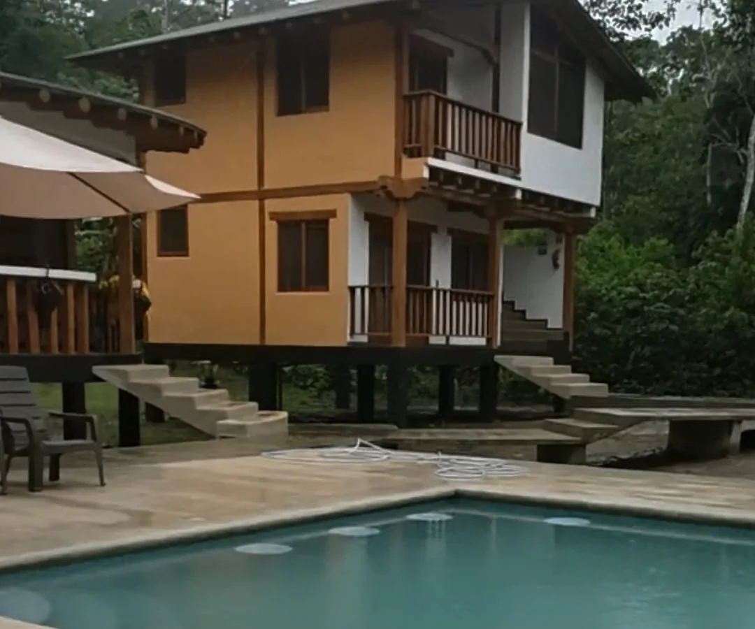 Discover the Amazon: 2 Days at Napo Amazon EcoLodge — Ecosportour, Ecuador