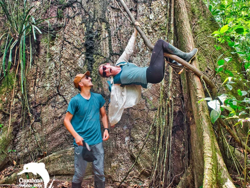 Cuyabeno 4-Day Jungle and Community Tour