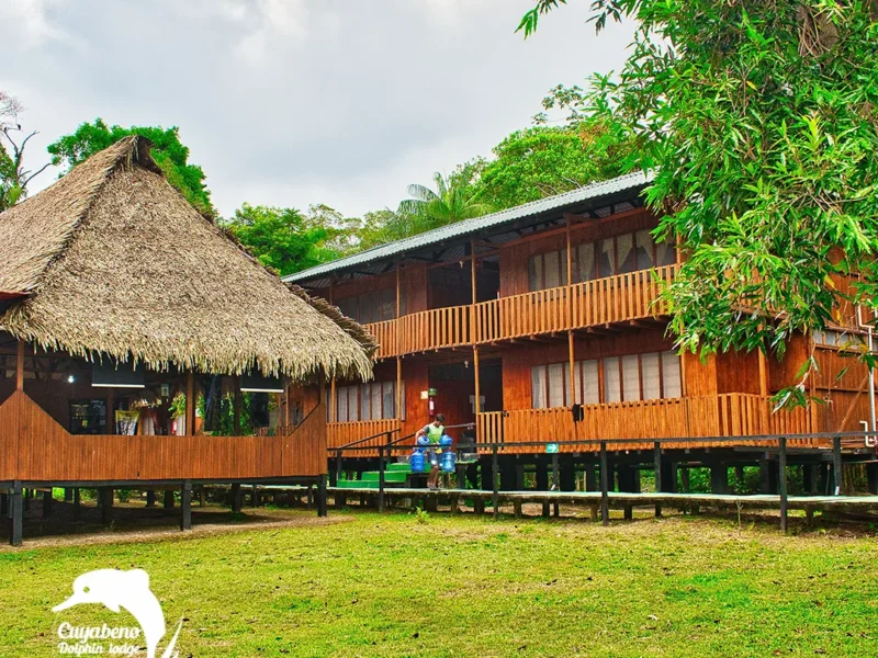 Cuyabeno 3-Day Rainforest Escape