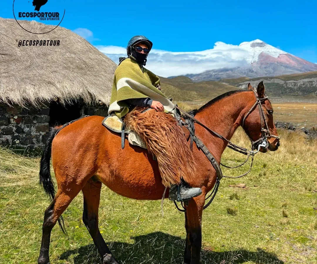 Cotopaxi Horseback Riding — Ecosportour, Ecuador