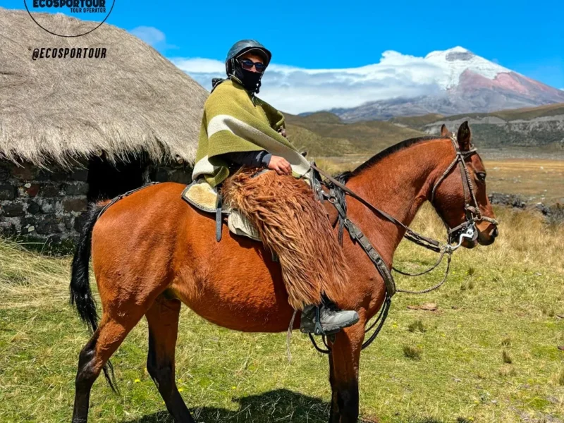 Cotopaxi Horseback Riding